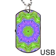 Abstract Art Colorful Dog Tag Usb Flash (one Side) by Simbadda