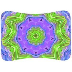 Abstract Art Colorful Velour Seat Head Rest Cushion by Simbadda