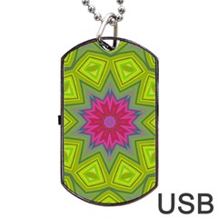 Green Pink Abstract Art Abstract Background Dog Tag Usb Flash (two Sides) by Simbadda