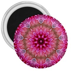 Flower Mandala Art Pink Abstract 3  Magnets by Simbadda