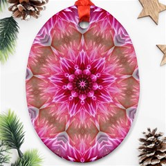 Flower Mandala Art Pink Abstract Ornament (oval) by Simbadda