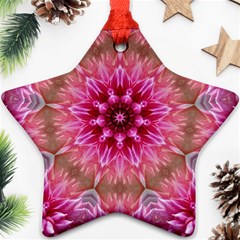 Flower Mandala Art Pink Abstract Star Ornament (two Sides) by Simbadda