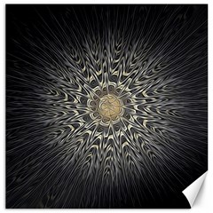 Fractal Mandala Feathers Grey Canvas 12  X 12  by Simbadda