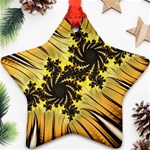 Fractal Art Colorful Pattern Ornament (Star) Front