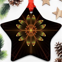 Fractal Floral Mandala Abstract Star Ornament (two Sides) by Simbadda