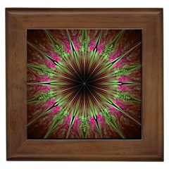 Julian Star Star Fun Green Violet Framed Tiles by Simbadda