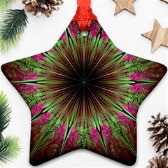 Julian Star Star Fun Green Violet Ornament (star) by Simbadda