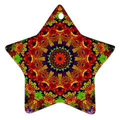 Fractal Mandala Flowers Star Ornament (two Sides)