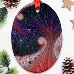 Fractal Art Artwork Design Oval Ornament (Two Sides) Front