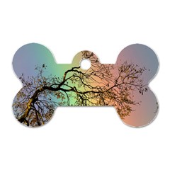 Rainbow Branch Boxer Shorts Dog Tag Bone (one Side) by Simbadda