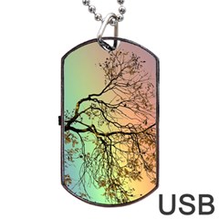 Rainbow Branch Boxer Shorts Dog Tag Usb Flash (two Sides) by Simbadda