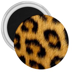 Animal Print Leopard 3  Magnets by NSGLOBALDESIGNS2