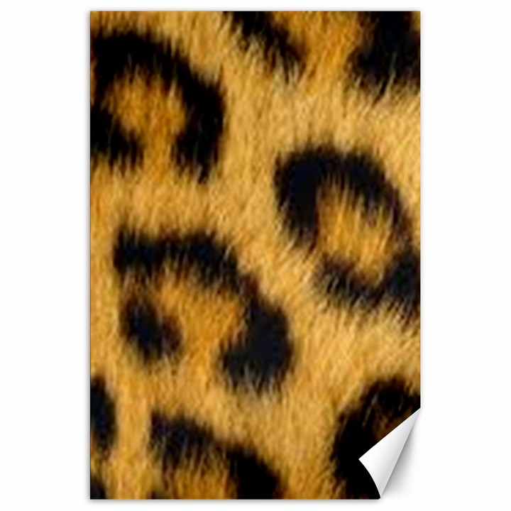 Animal print 3 Canvas 20  x 30 