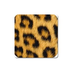 Leopard Print Square Magnet by NSGLOBALDESIGNS2