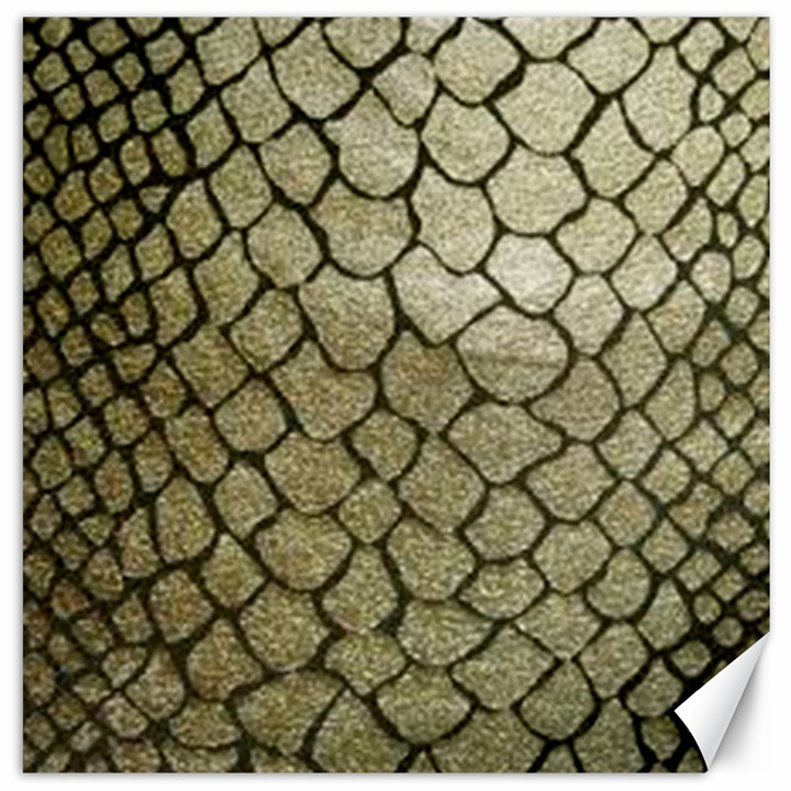 Snake print Canvas 16  x 16 