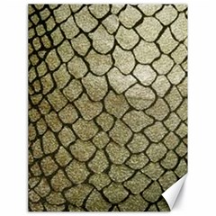 Snake Print Canvas 18  X 24  by NSGLOBALDESIGNS2