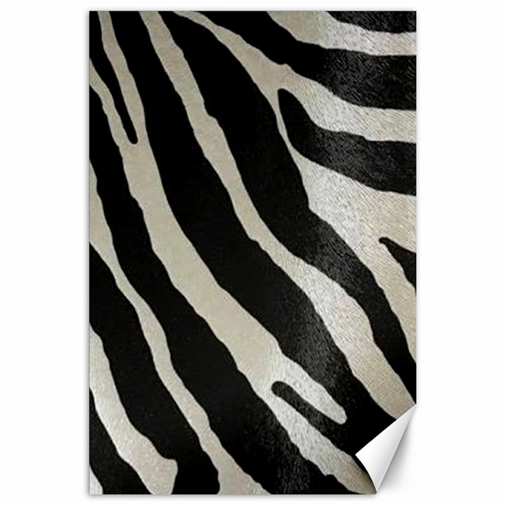 Zebra print Canvas 20  x 30 