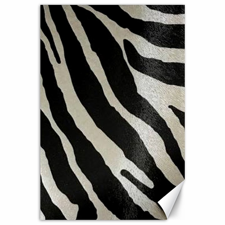 Zebra print Canvas 24  x 36 