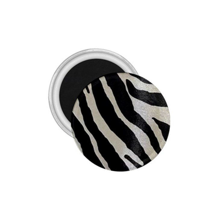 Zebra print 1.75  Magnets