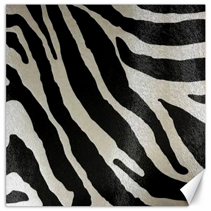 Zebra 2 print Canvas 12  x 12 