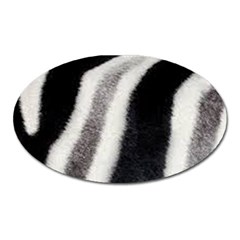 Stella Animal Print Oval Magnet by NSGLOBALDESIGNS2