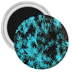 Blue Etched Background 3  Magnets