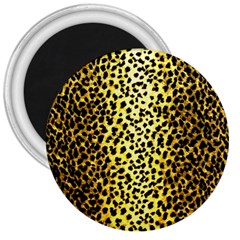 Leopard 1 Leopard A 3  Magnets by dressshop