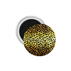 Leopard Version 2 1 75  Magnets by dressshop