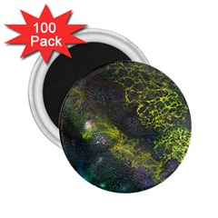 Deep In The Reef 2 25  Magnets (100 Pack)  by ArtByAng