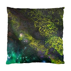 Deep In The Reef Standard Cushion Case (two Sides) by ArtByAng