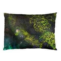 Deep In The Reef Pillow Case (two Sides) by ArtByAng