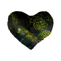 Deep In The Reef Standard 16  Premium Flano Heart Shape Cushions by ArtByAng