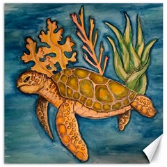 Turty- All Canvas 12  X 12  by ArtByAng