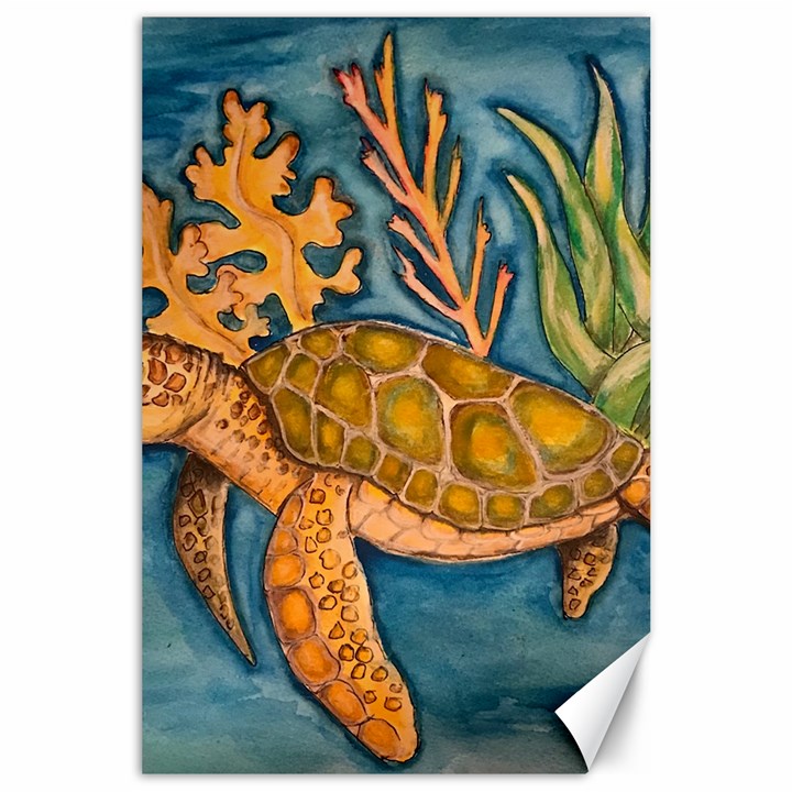 Turty- All Canvas 24  x 36 