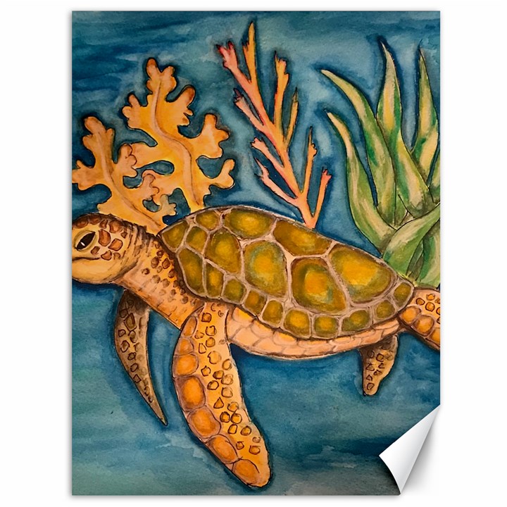 Turty- All Canvas 36  x 48 