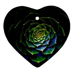 Nature Desktop Flora Color Pattern Ornament (Heart)