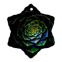 Nature Desktop Flora Color Pattern Ornament (Snowflake)