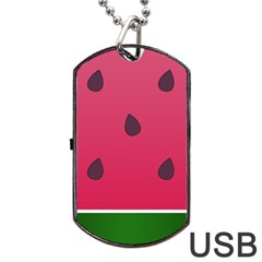 Watermelon Fruit Summer Red Fresh Dog Tag Usb Flash (one Side) by Nexatart