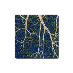 Green Leaves Blue Background Night Square Magnet by Nexatart