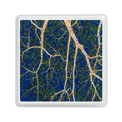 Green Leaves Blue Background Night Memory Card Reader (square)