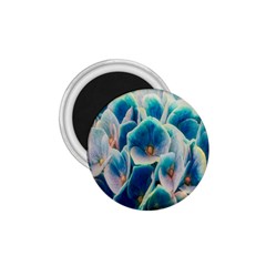 Hydrangeas Blossom Bloom Blue 1 75  Magnets by Nexatart