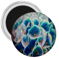 Hydrangeas Blossom Bloom Blue 3  Magnets by Nexatart