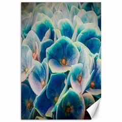 Hydrangeas Blossom Bloom Blue Canvas 12  X 18  by Nexatart