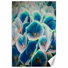 Hydrangeas Blossom Bloom Blue Canvas 24  X 36  by Nexatart