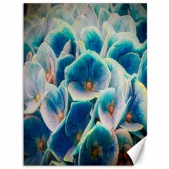 Hydrangeas Blossom Bloom Blue Canvas 36  X 48  by Nexatart