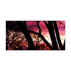 Fall Sunset Through The Trees Yoga Headband