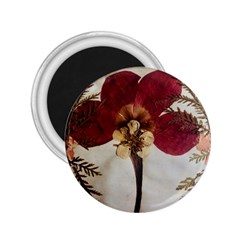 Holy Land Flowers 1 2.25  Magnets