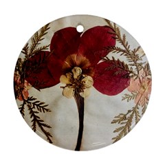 Holy Land Flowers 1 Round Ornament (two Sides) by DeneWestUK