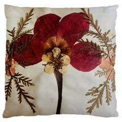 Holy Land Flowers 1 Large Cushion Case (Two Sides)