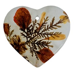 Holy Land Flowers 2 Ornament (Heart)